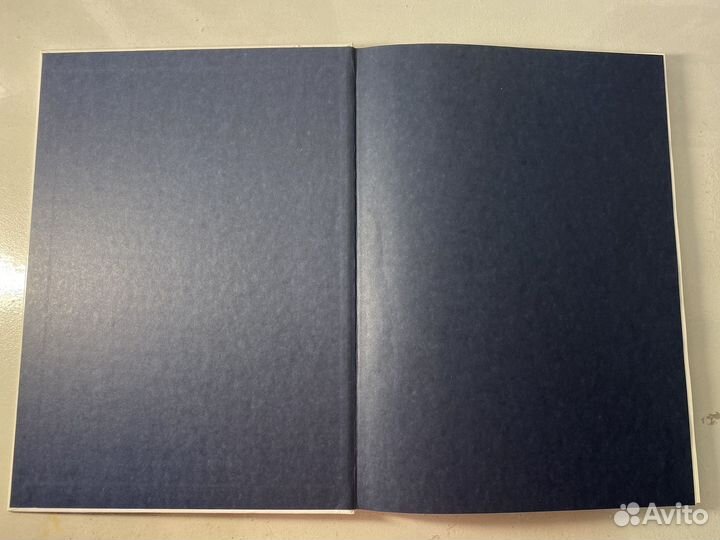 О Северном флоте, о флотской столице Ядринцева