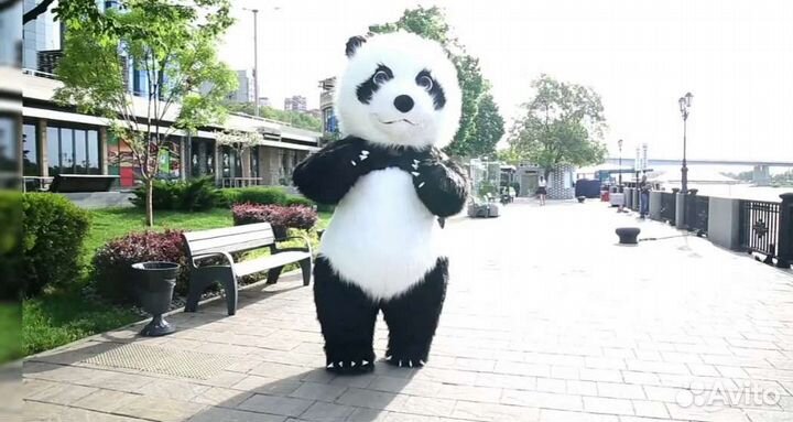 Аниматор, ростовая кукла, панда, поздравление