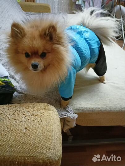 Зимний комбинезон