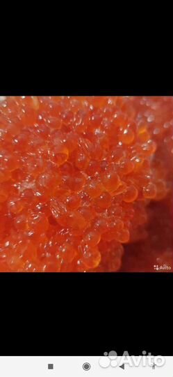 Красная икра