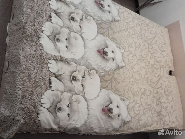 Комплект постельного белья 100% хлопок+дополнение