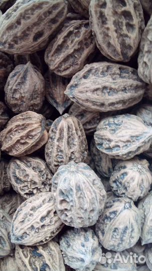 Маньчжурский орех Семена 10 шт