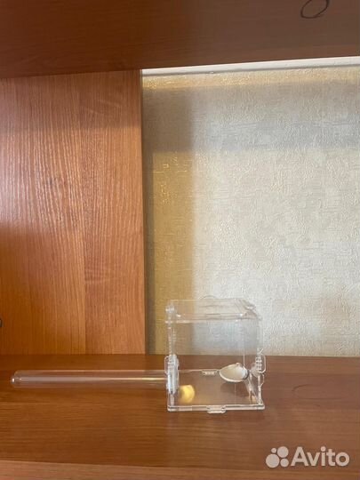 Муравьиная ферма