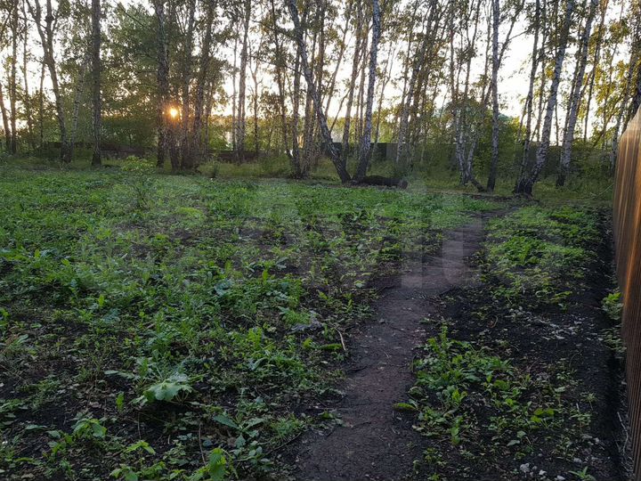 Участок 10 сот. (СНТ, ДНП)