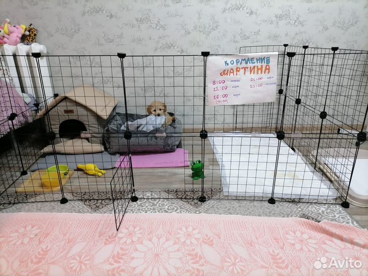 Вольер для щенков в квартиру