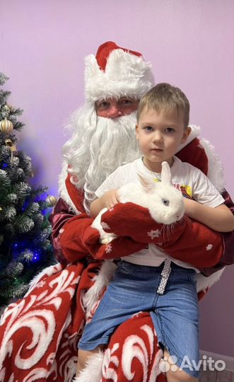 Дед мороз и снегурочка