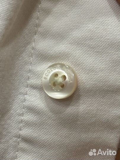 Рубашка мужская Scotch soda