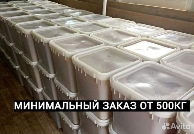 Мед оптом/Доставка по РФ