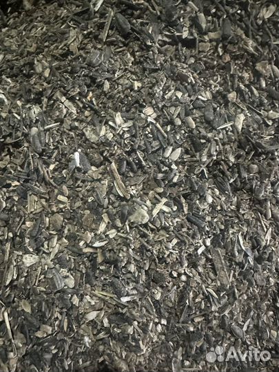 Подсолнечник кондитерский с ядром