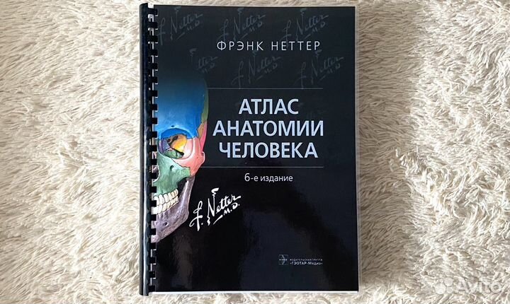 Анатомия Неттера атлас