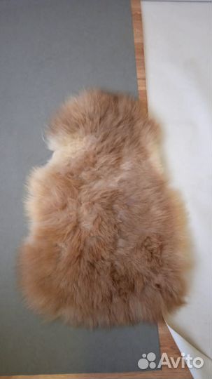 Продам овечьи шкуры