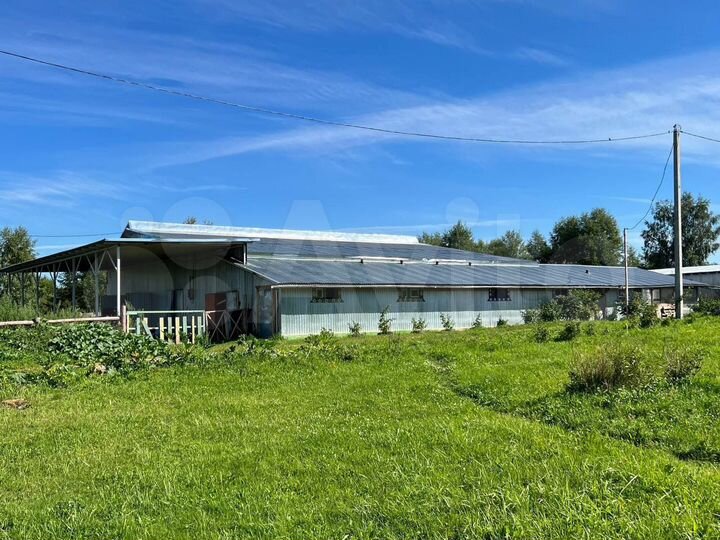 Производство, 200000 м²