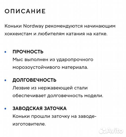 Коньки хоккейные ndw 100