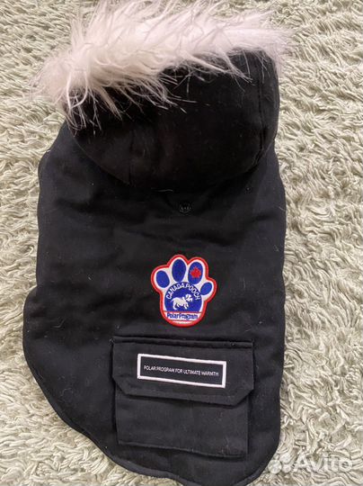 Одежда для собак