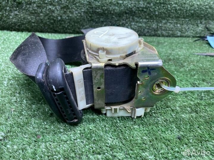 Ремень безопасности передний правый Ford Focus 2