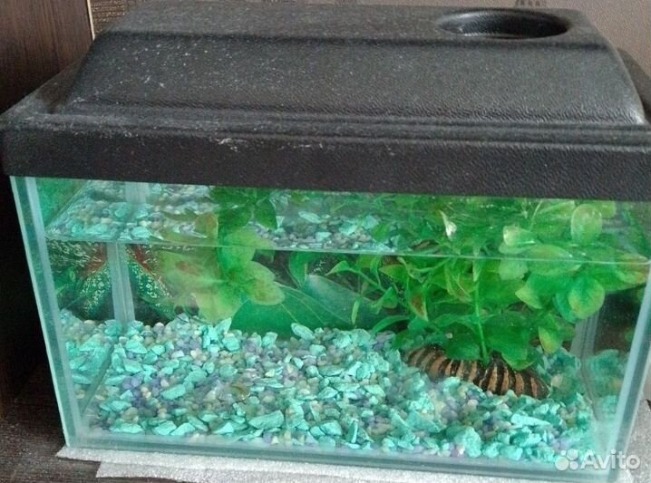 Аквариум