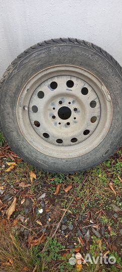 Viatti Brina Nordico V-522 175/65 R14