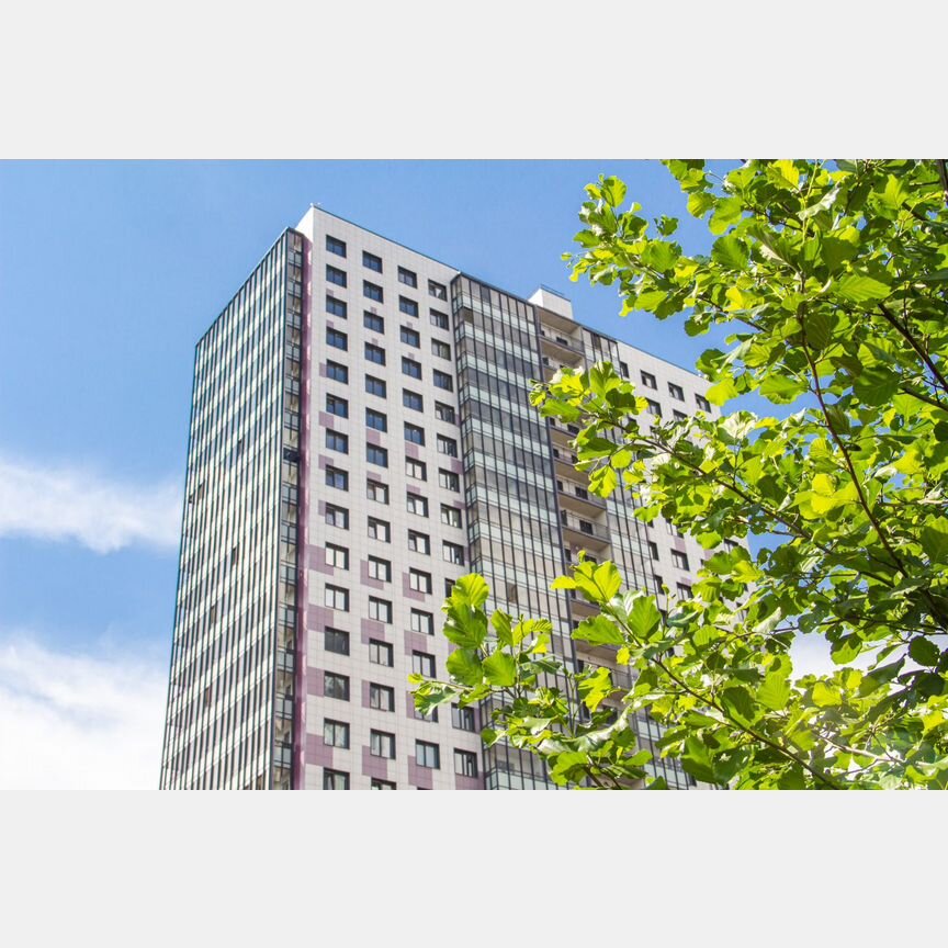Квартира-студия, 24,5 м², 2/25 эт.