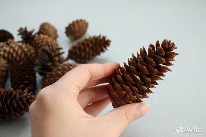 Шишки еловые Шишки для поделок для мульчирования