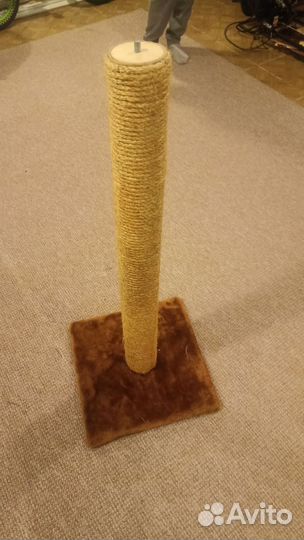 Когтеточка