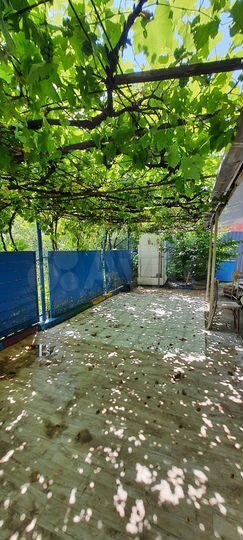 Участок 6,3 сот. (СНТ, ДНП)