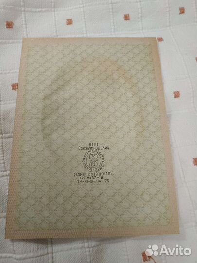 Паспарту времён СССР