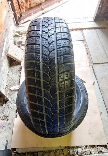 Tigar Winter 1 175/70 R13 82T