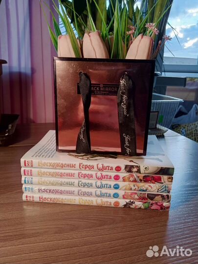 Манга Восхождение героя щита