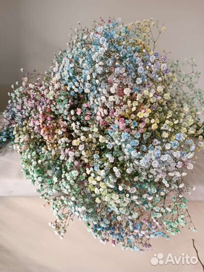 Гипсофила. Цветы. Букеты