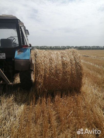 Солома с поля с погрузкой возможна доставка