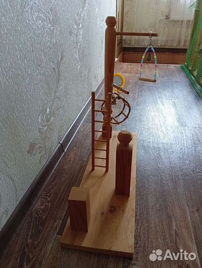 Недостроенная игровая площадка для попугаев