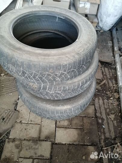 Accelera 651 4/10 R6.5 23