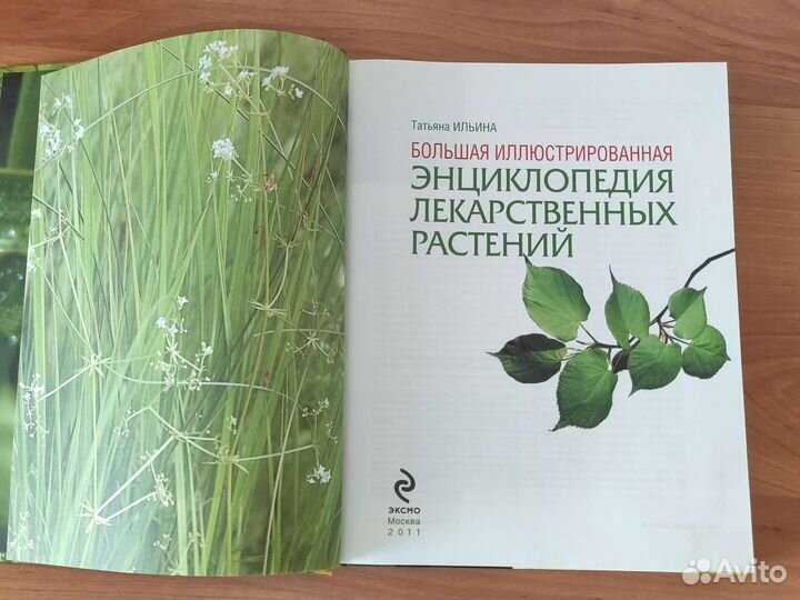 Энциклопедия лекарственных растений