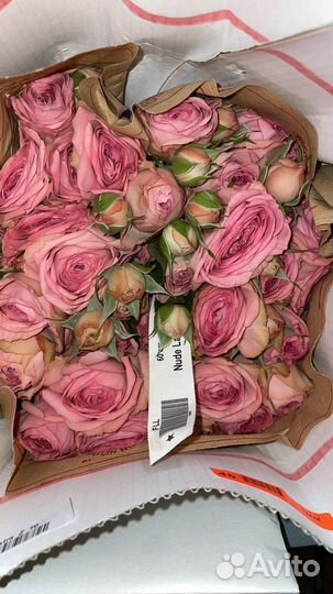 Розы кустовые, готовые букеты, цветы, розы