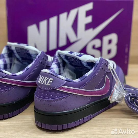 Nike sb dunk low purple lobster