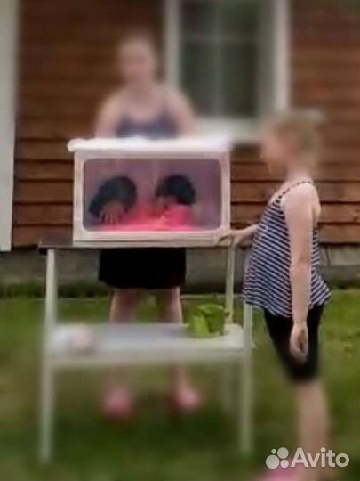 Игра шоу нащупай аренда аниматор