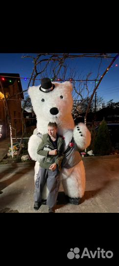 Аниматор на детский праздник чебурашка и другие