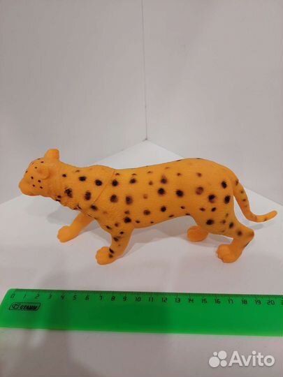 Тигры и львы