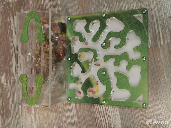 Муравьиная ферма