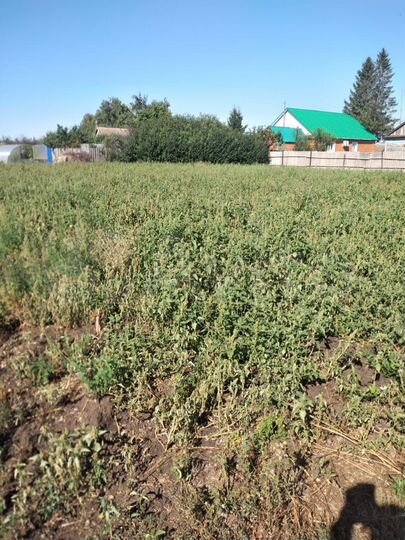 Дом 1000 м² на участке 1 сот.