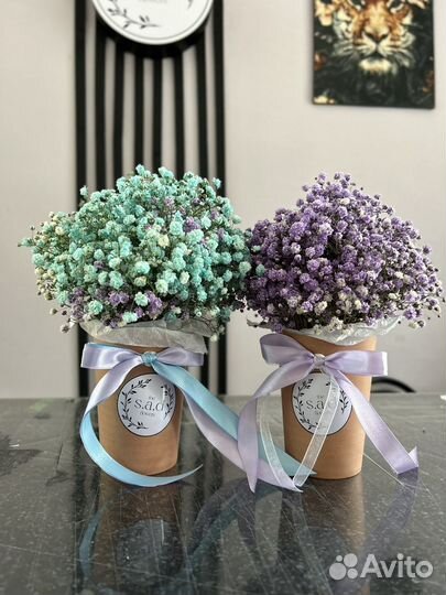 Гипсофила в стаканчике