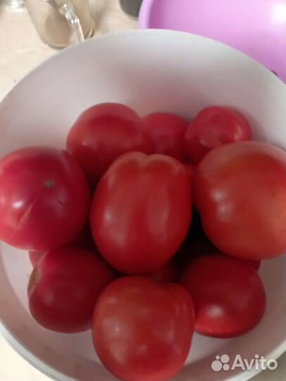 Огурцы и помидоры