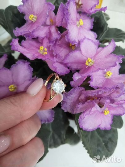 Позолоченное кольцо