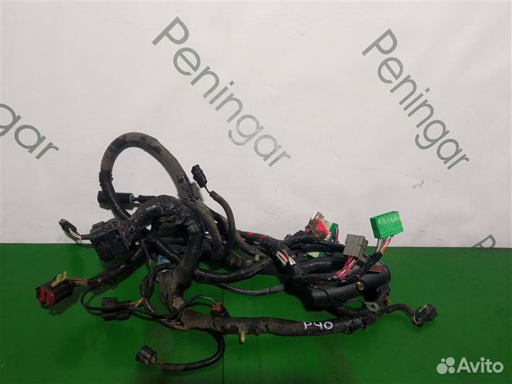 Проводка Ford Mustang 4 SN95 3.8 OHV EFI 1999
