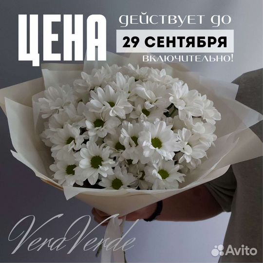 Букет цветов Хризантема Доставка букетов