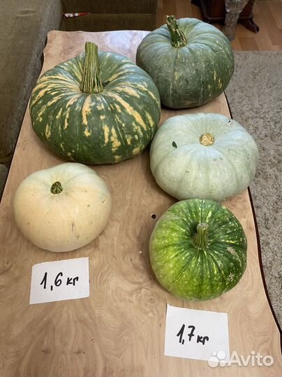 Тыква желтая зеленая