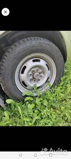 Viatti Vettore Inverno V-524