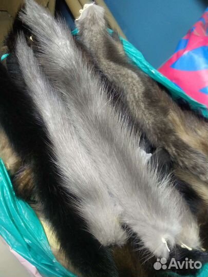 Хвостики норки