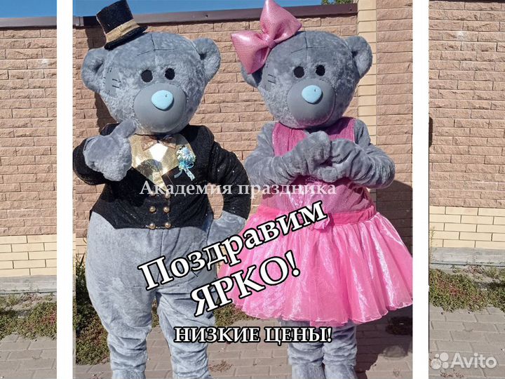 Мишки Тедди зайки и другие поздравление, выписка