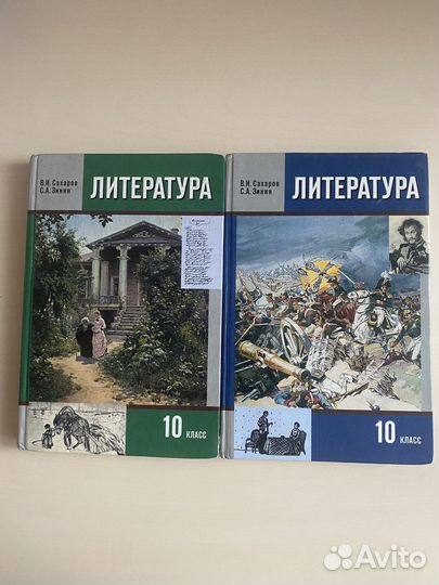 Литература 10 класс